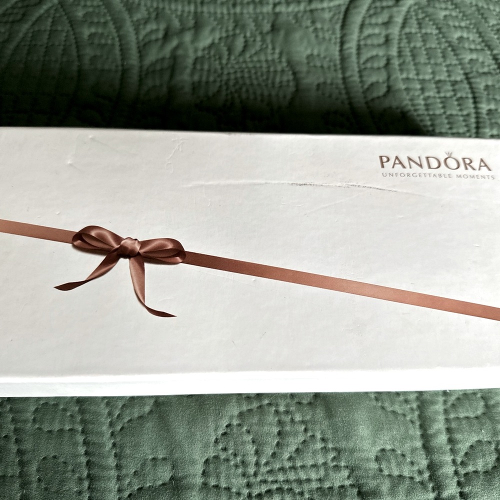 PANDORA UNFORGETTABLE MOMENTS COLLECTOR’S PIECE 🔥🔥🔥🔥🔥🔥🔥